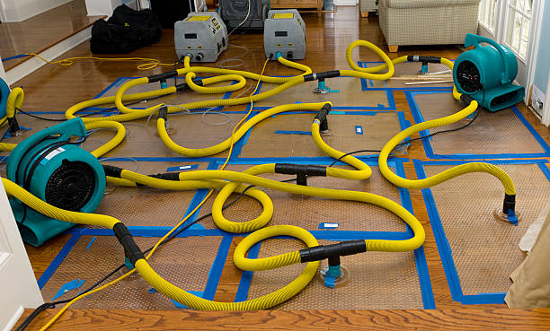 Professional Water Damage Repair technician working in Dime Box, TX